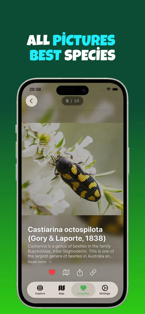 #6. Nature : Scroll, Explore, Find (iOS) Ved: samet bilgin
