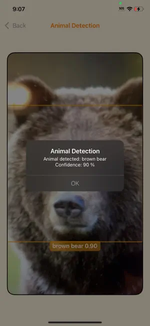 AnimalTector screenshot 2