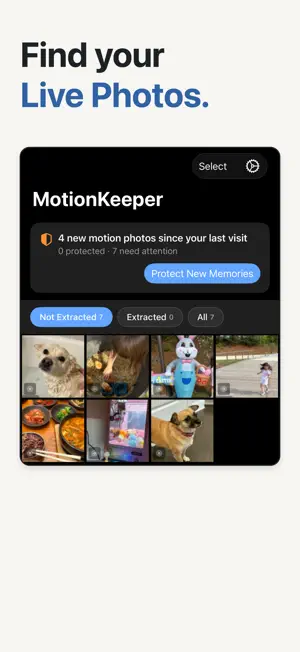 Motion: Live Photo to Video screenshot 4