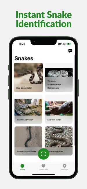 Snake Identifier: Serpiq screenshot 3