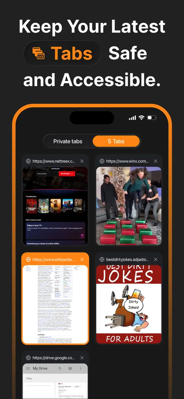 #5. Browser Pro Fast & Secure (iOS) Podle: MadhavKumar Bhayani