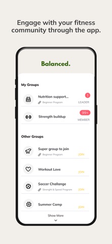Balanced Hub screenshot