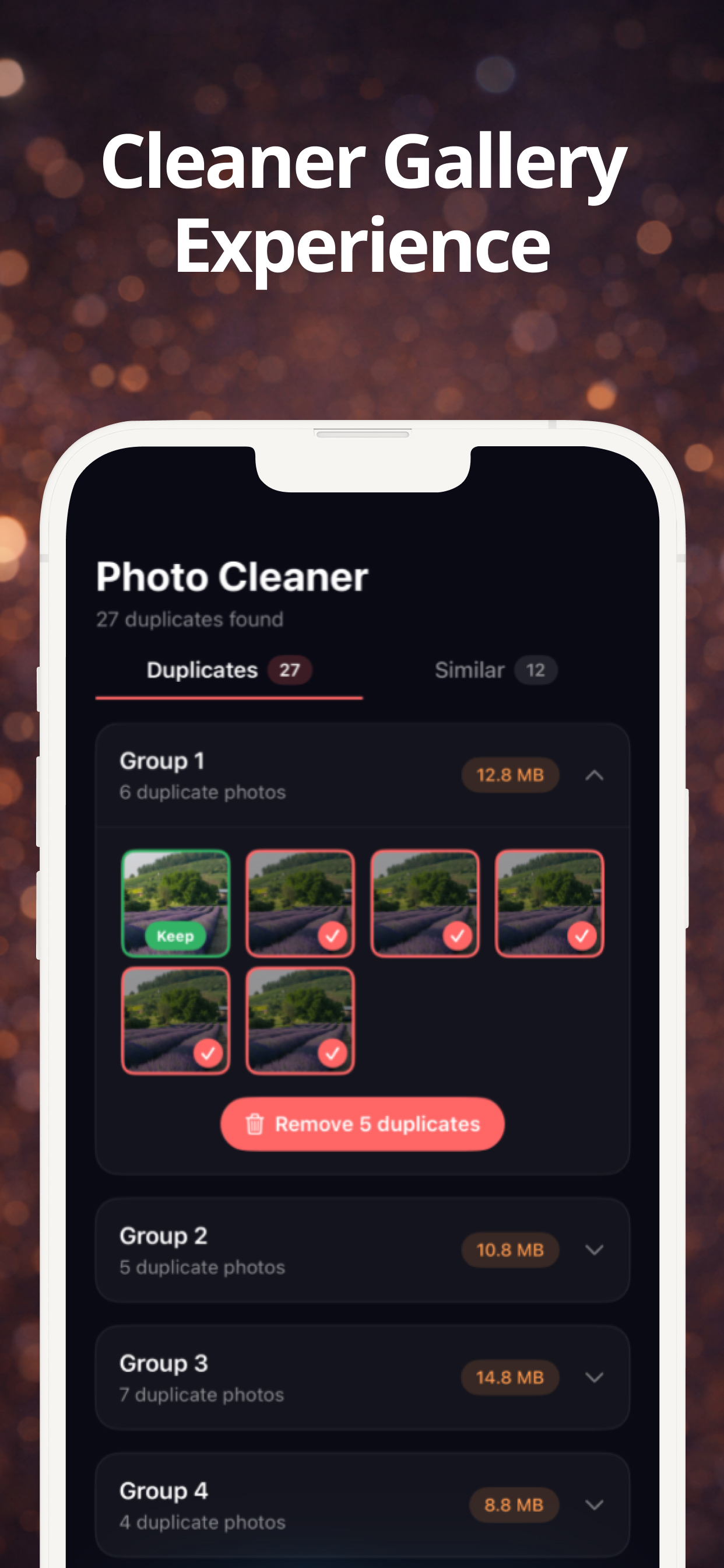 Recovera Photo Vault & Cleaner