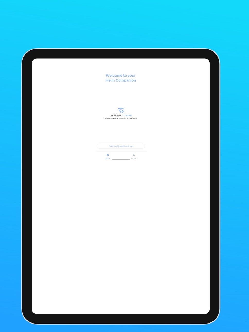iPad screenshot