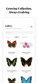 Bufly-Butterfly Museum screenshot