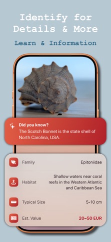 Sea Shell Identifier: Collect Screenshot 1 of 3