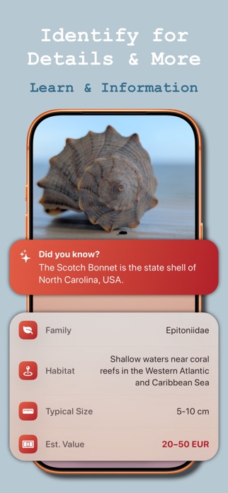 Sea Shell Identifier: Collect Screenshot 1 of 3