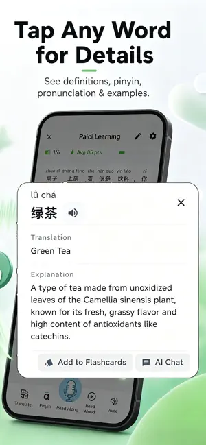 Paici: Snap & Learn Chinese screenshot 3