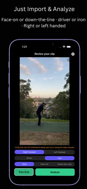 Swing4Eagle screenshot 2