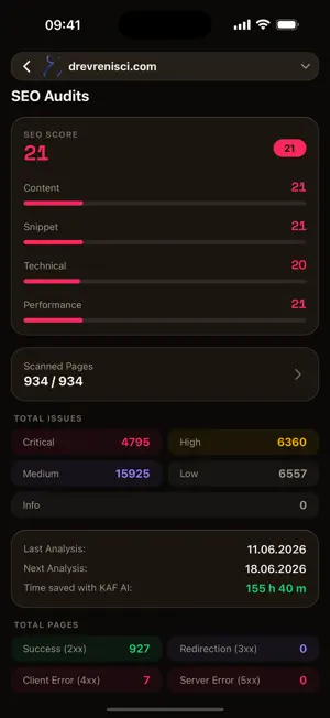 KAF AI: SEO Audit Tool screenshot 3
