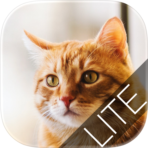 CatCrosswordLite
