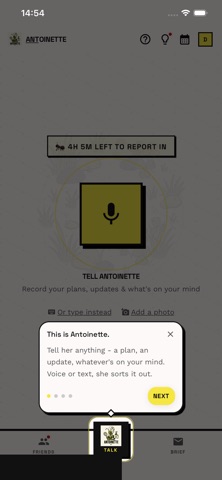 Antoinette screenshot