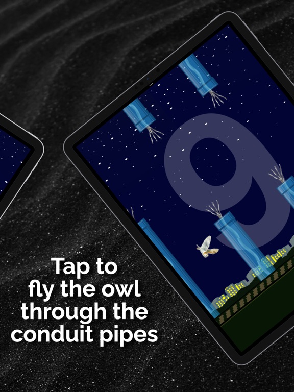 Screenshot #5 pour Wise Flyer