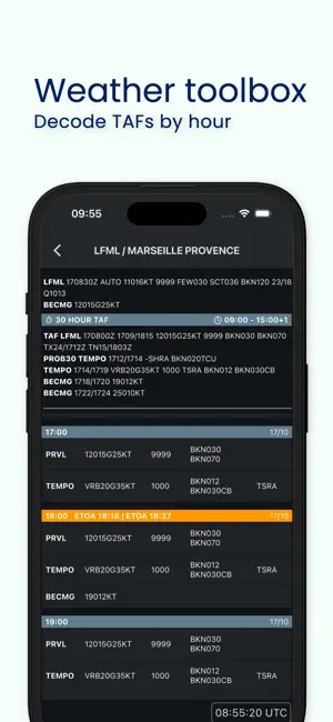 Aerobrief FS screenshot 4