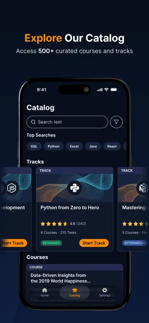 Codefinity screenshot 3