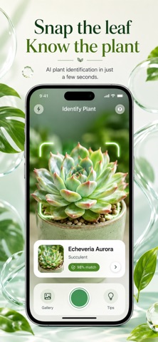 Plant Identifier & Care iPhone screenshot