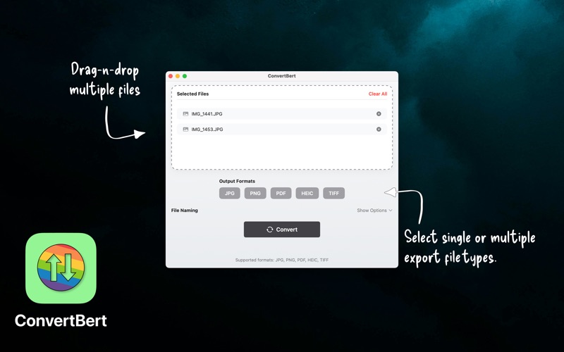 ConvertBert app screenshot