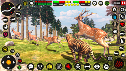 Lion Simulator - Tiger Games Screenshot