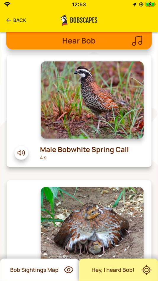 #5. Bobscapes (iOS) Door: Ferguson Lynch LLC