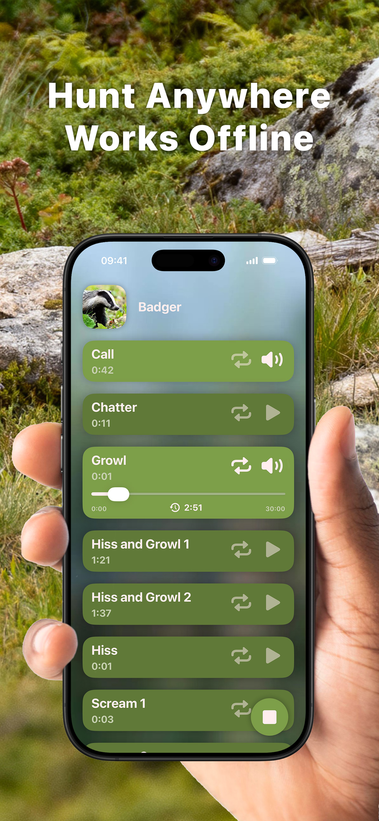 Hunting Calls: Badger