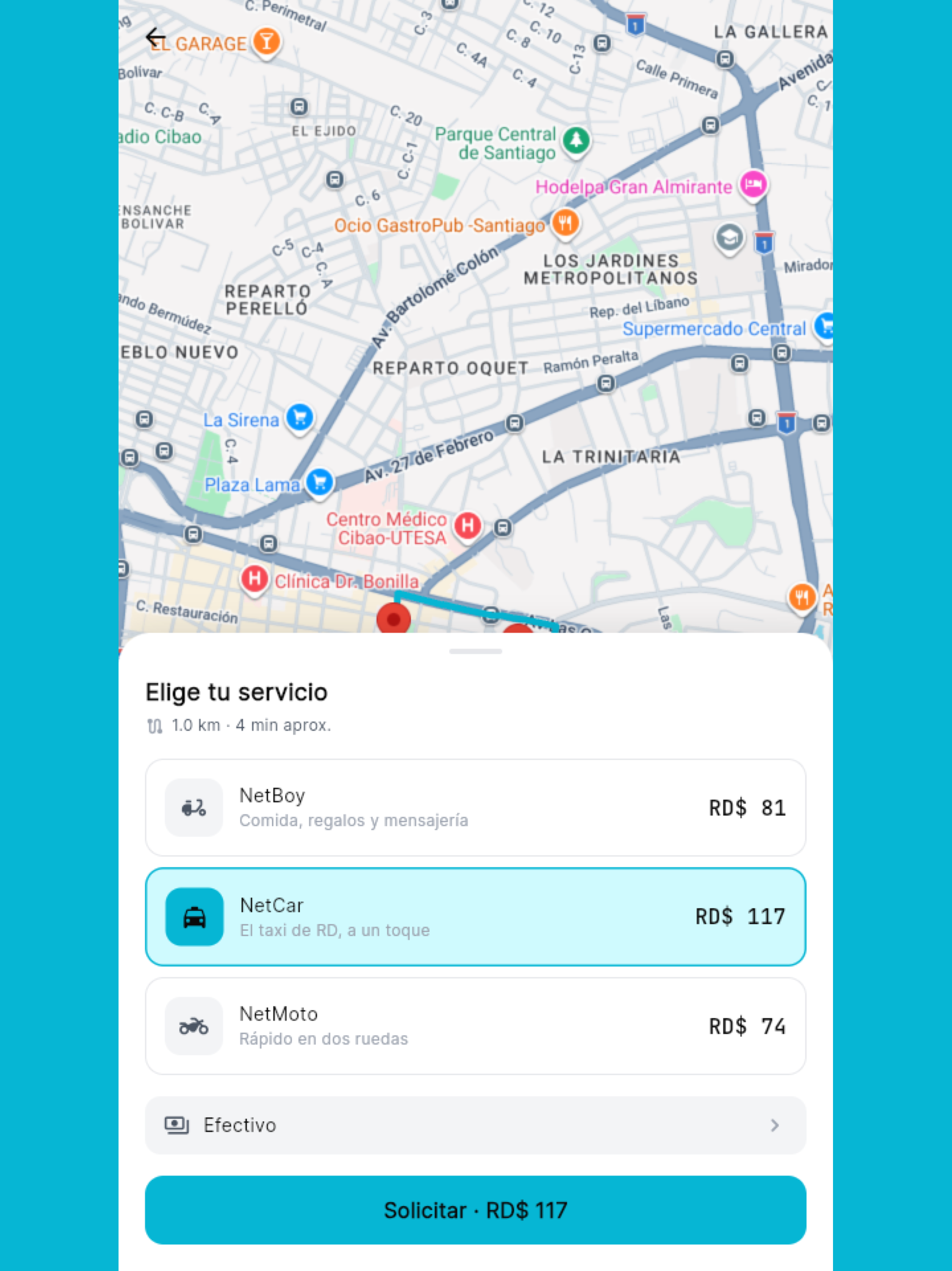 NetCar screenshot 6