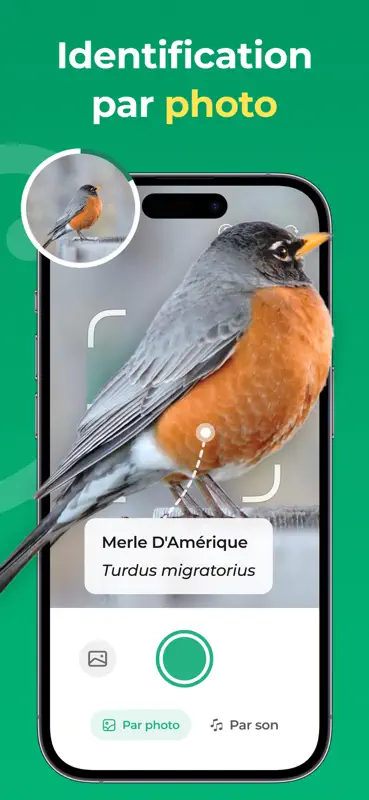 Identifier oiseaux et chants screenshot 1 of 6
