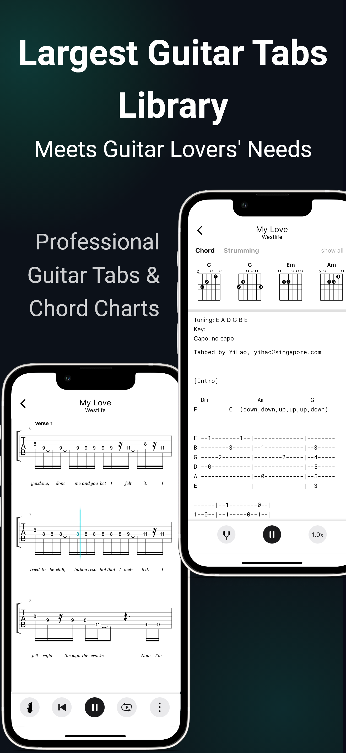 Guitar Tuner - TunerMate
