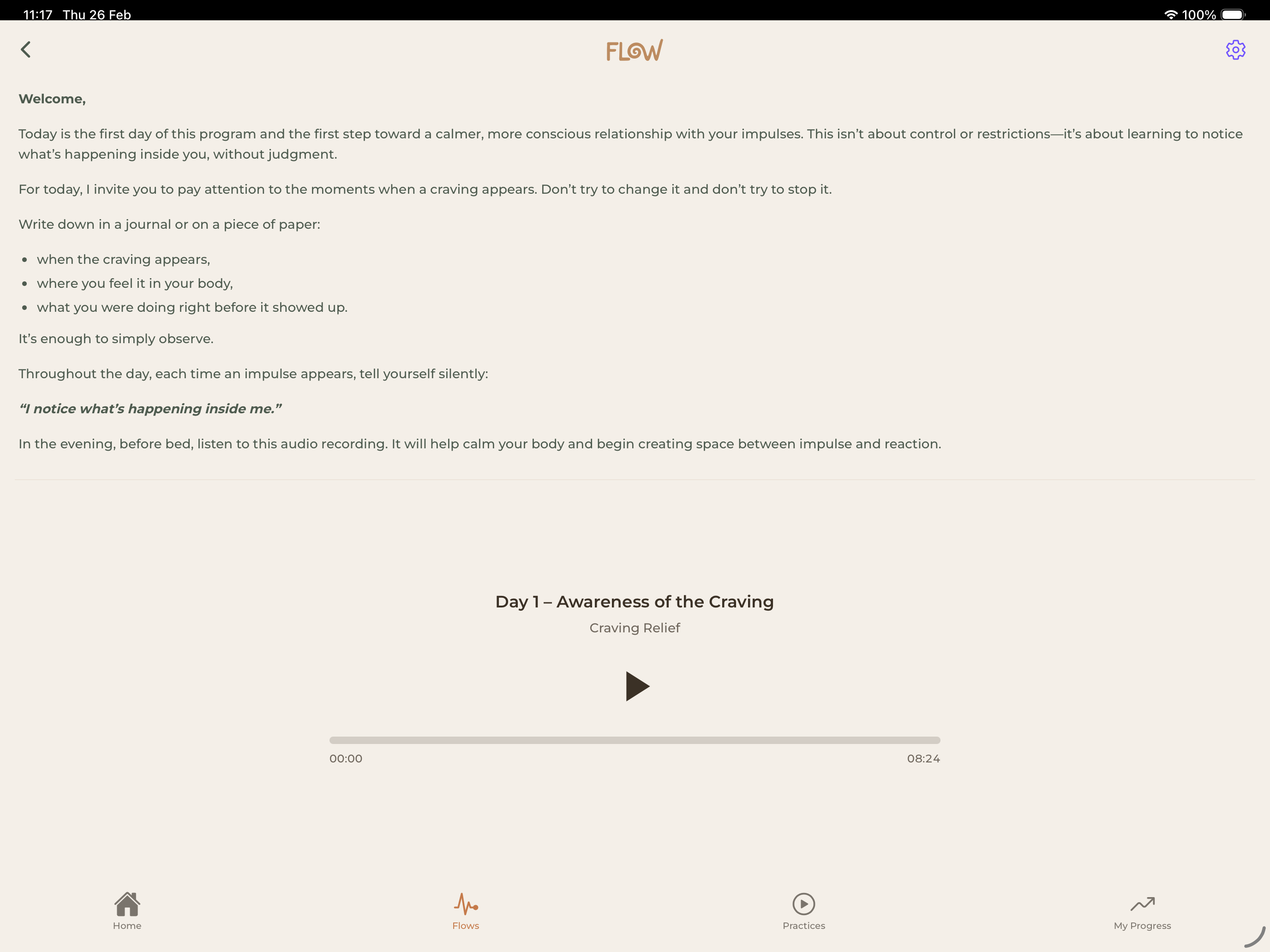 Flow Balance screenshot 11
