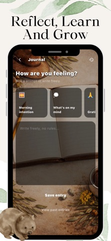 Mindroo screenshot