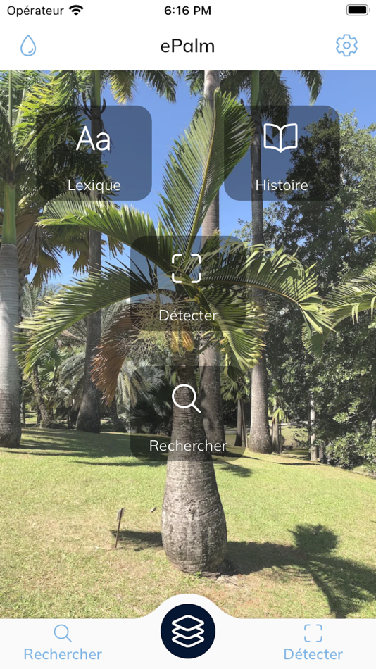 #1. e Palm (iOS) 由: ENVIVIA