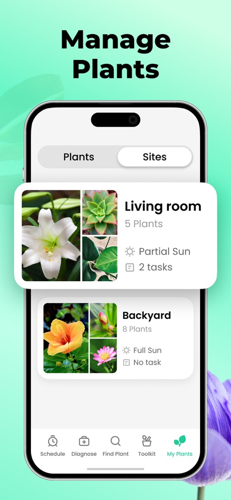 Plant Parent: Plant Care Guide - Organize Your Greens
