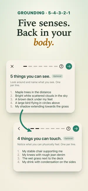 Presmo: Grounding DBT Skills screenshot 3
