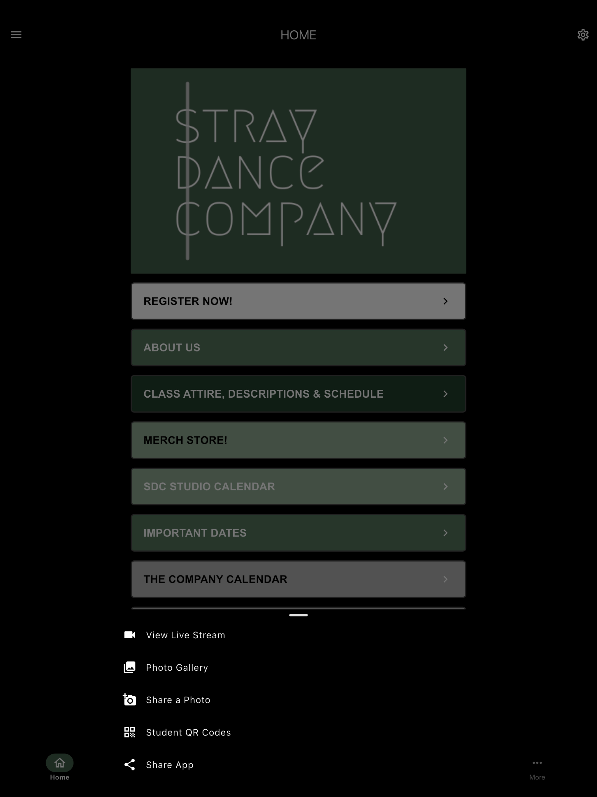 Stray Dance Company screenshot 13