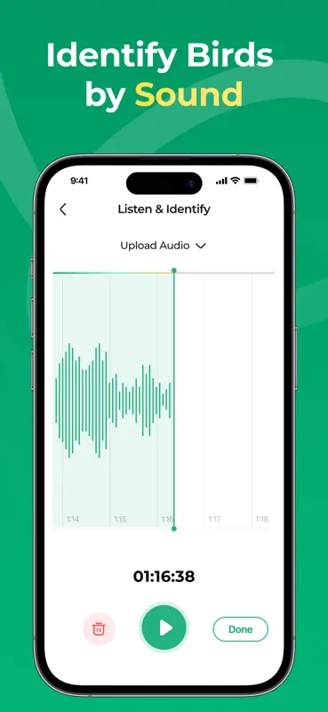 Bird Song Identifier-BirdScope screenshot 2 of 6