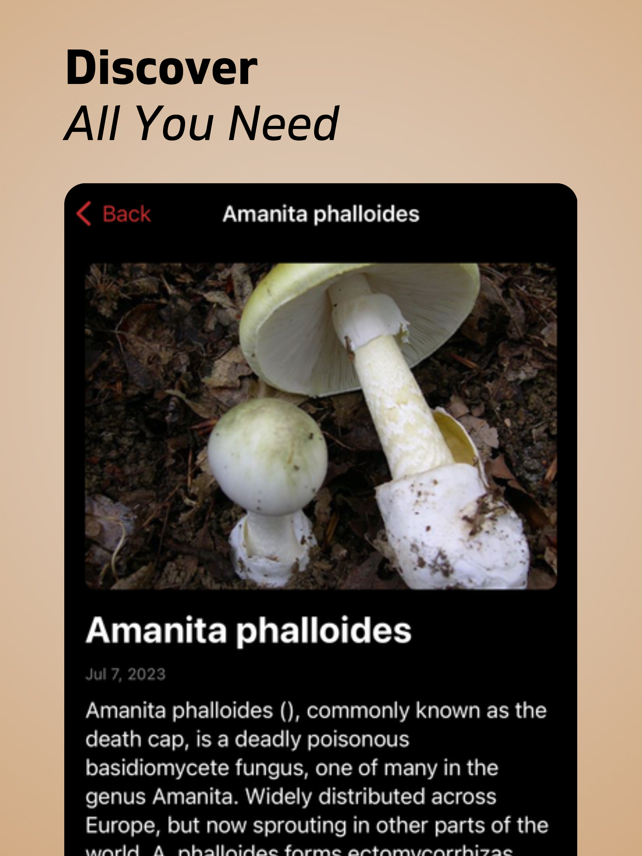 Mushroom Identification+ screenshot 10