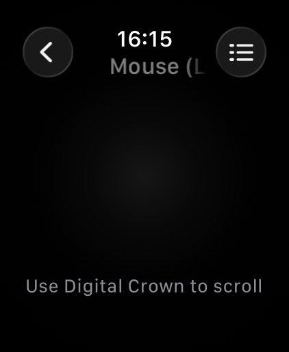 Apple Watch screenshot