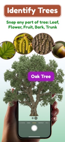 Tree and Plant Identifier Screenshot 1 of 5