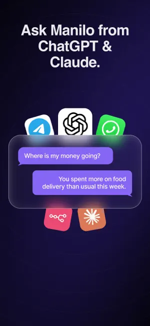 Manilo: AI Expense Tracker screenshot 3