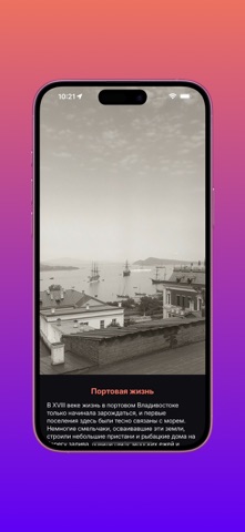 VGOROD screenshot