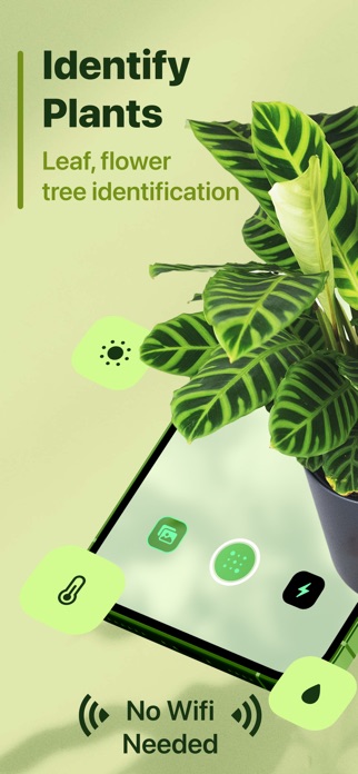 Leaf Identification Screenshot 1 of 6