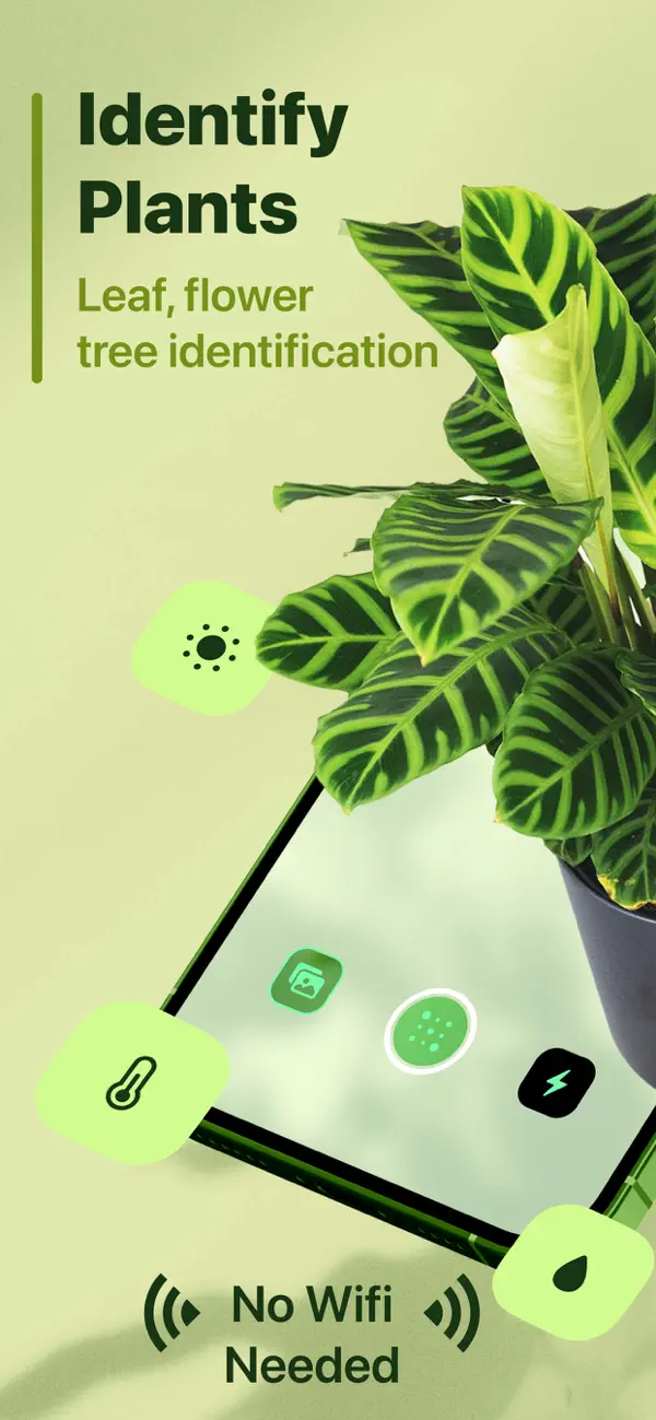 #1. Leaf Identification (iOS) 由: Le Giang Nam