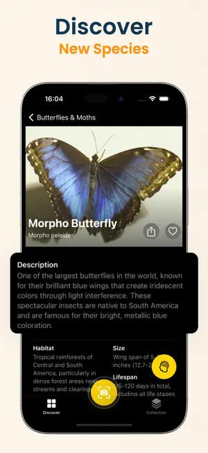 Insect Identifier: Scan Bug screenshot 3