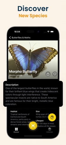 Insect Identifier: Scan Bug iPhone screenshot