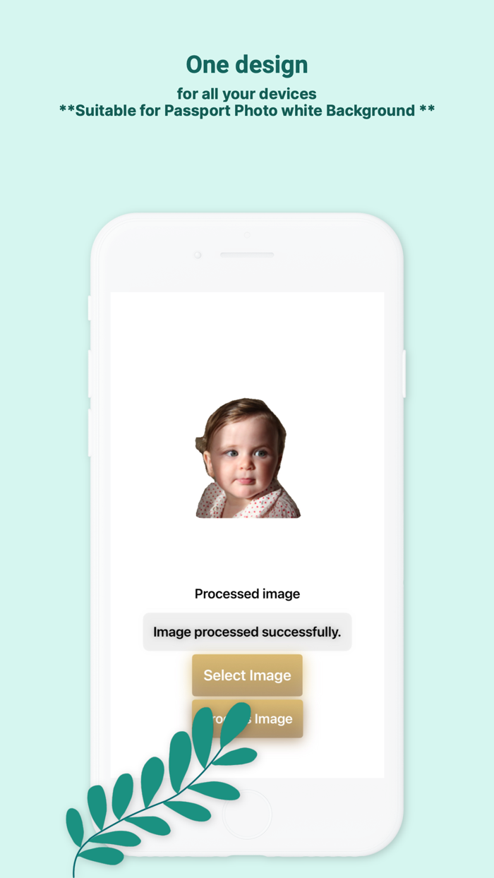 background img remove INGOAMPT