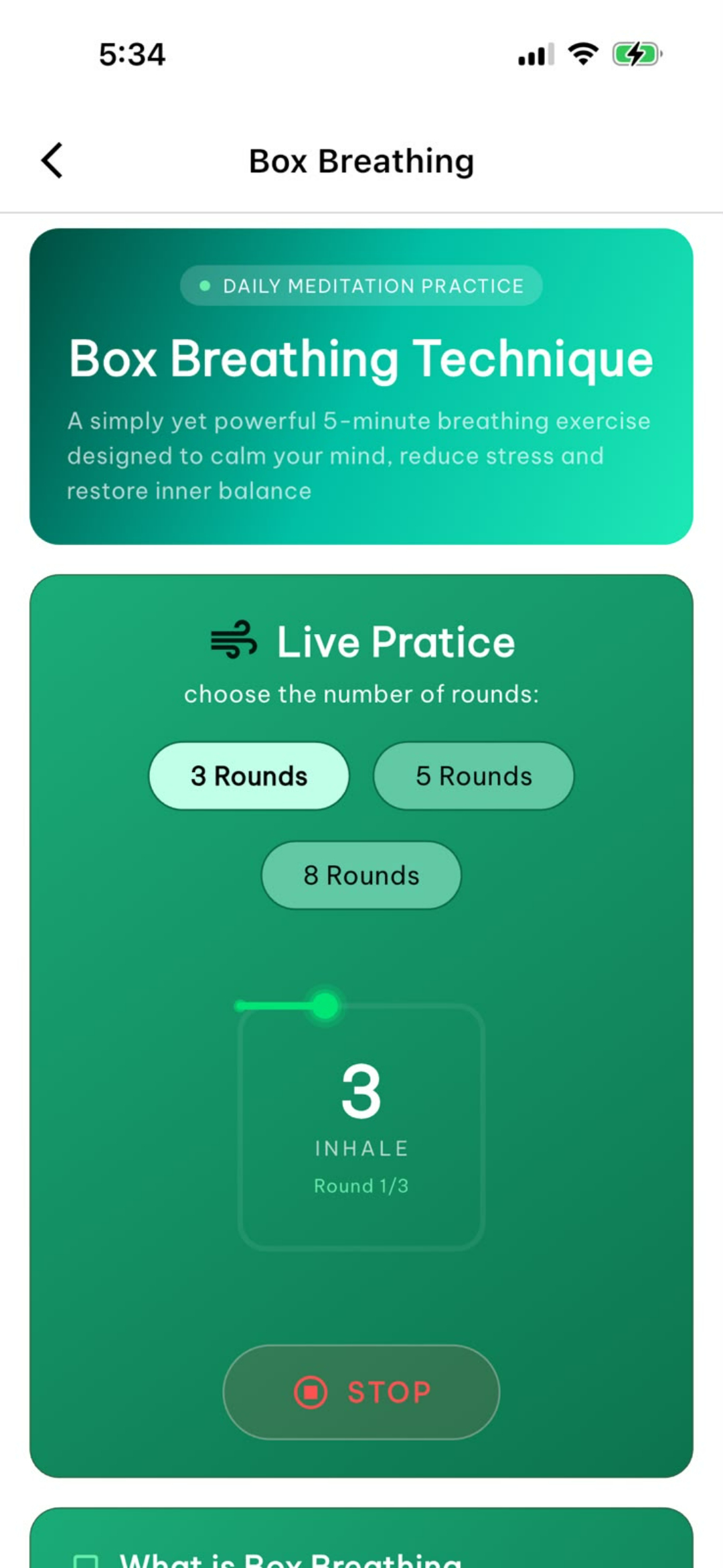 Connected Minds screenshot 7