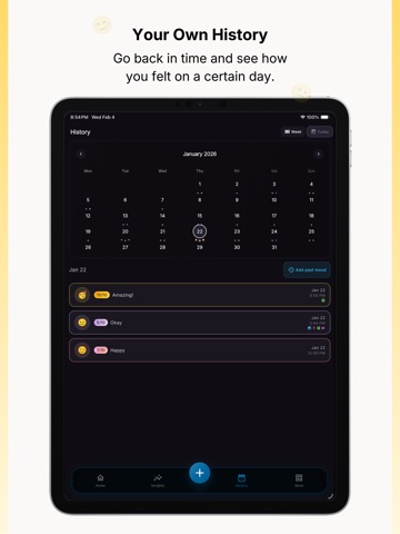Better Tomorrow: Mood Journal iPad screenshot