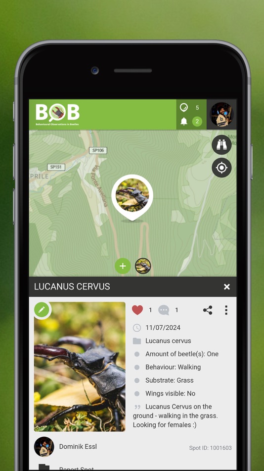 #4. BOBeetles (iOS) 由: SPOTTERON Gmbh