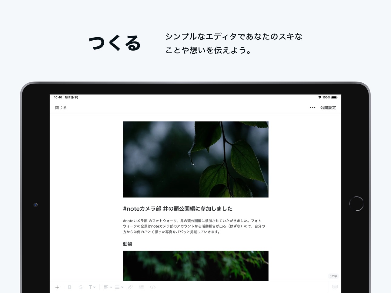 iPad screenshot