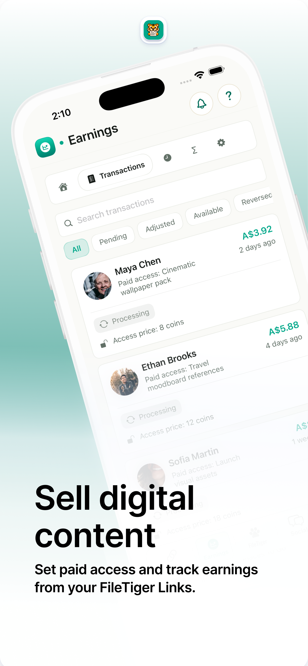 FileTiger screenshot 4