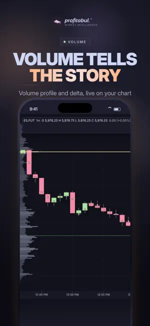Profitabul screenshot 4